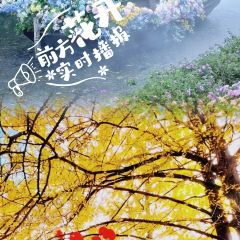 有芬餐馆 여행 사진