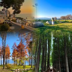 AI SHANG JUN User Photo