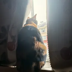 博山菜館張用戶圖片