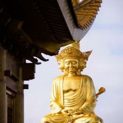 ZHAO YA ZI User Photo