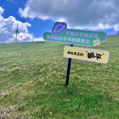 东坪饭店(白廊店) User Photo