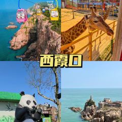 悬崖咖啡厅 여행 사진