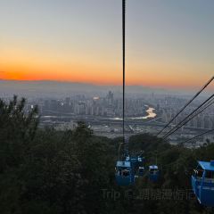 唐沫茶兮（世歐北區3樓店）張用戶圖片