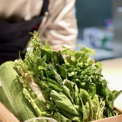 AVANT張用戶圖片