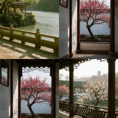 吴记牛骨粉(抚州弄店) User Photo