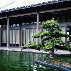 绍兴东山大观酒店·匯西餐厅 Metropolis User Photo