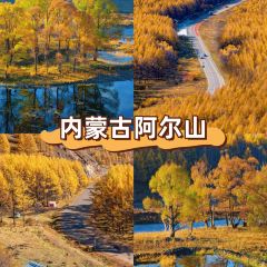 dan jia yu pai User Photo