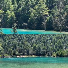 玉龙白沙玉湖人家客栈 User Photo