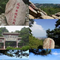 海星辰海鲜大排档(黄金海岸店) User Photo