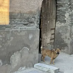 谋生咖啡馆 User Photo