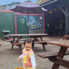 Dinosaur Bar-B-Que User Photo