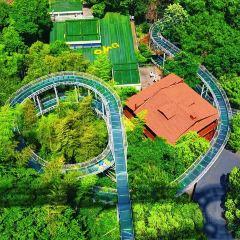 LAO TAI PO FAN DIAN 여행 사진