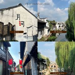 Seeing Tea User Photo