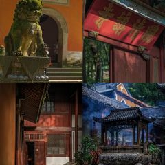 王天顺海苔饼 User Photo