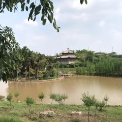 杨氏豆花 User Photo