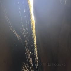 橘隱家張用戶圖片