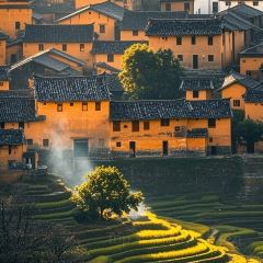 飞茑集樢咖啡 User Photo