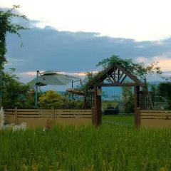 一尺稻田咖啡 User Photo