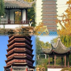 Haiguanhundouhua User Photo