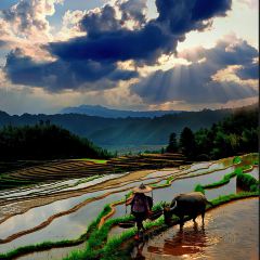 XIAO BEI JIANG HE XIAN User Photo