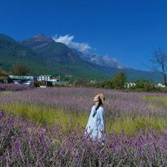 Lijiang Club Med Resorts Amaze Snow Mountain CampTent Restaurant User Photo