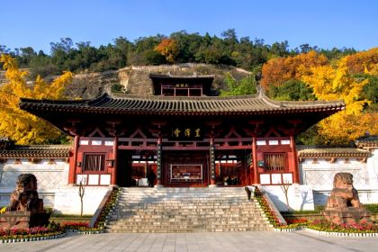 XIANG WEI CUN GU CHANG CAI