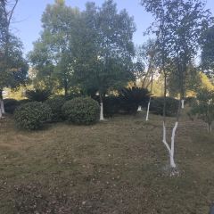 宜春市汤老三夜宵店(秀江风情店) User Photo