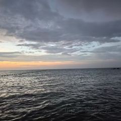 赶海归来·肥蛤·海鲜烧烤(韩乐坊店) User Photo