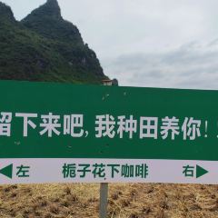 一尺稻田咖啡 User Photo