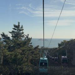 SEAF0OD MASTER User Photo