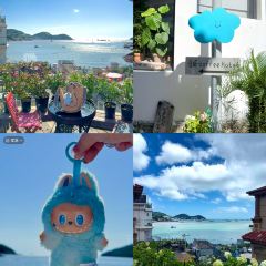 飛珠麵店張用戶圖片