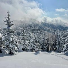 Yokote Sancho Hutte Kumo No Ue No Restaurant User Photo