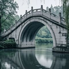 灵山酒酿 User Photo