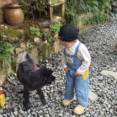 猪圈咖啡屋 User Photo