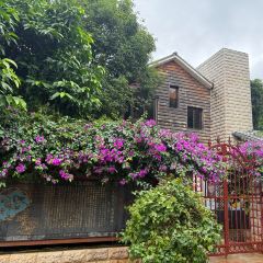 AI SHANG JUN User Photo