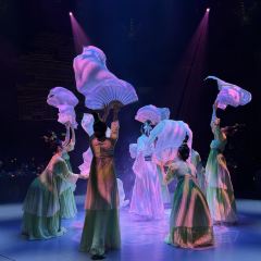 紅鼎艷張用戶圖片