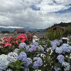 屋顶咖啡·日落甜茶·雪山花园 ·bistro 여행 사진