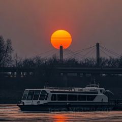 颍阳水席(登封店) User Photo