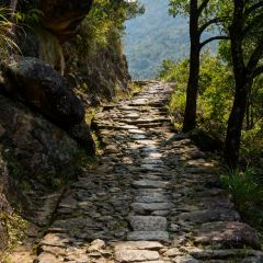 XIAO BEI JIANG HE XIAN User Photo