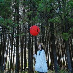 Lijiang Club Med Resorts Amaze Snow Mountain CampTent Restaurant User Photo