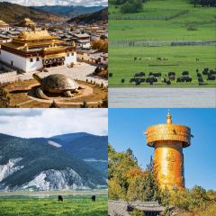 A Ma de su you cha User Photo