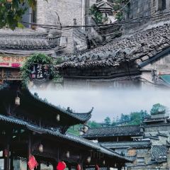 陶姐冷粉張用戶圖片