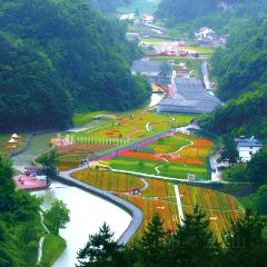 XIANG WEI CUN GU CHANG CAI User Photo