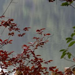 飛天水寨休閑農莊張用戶圖片
