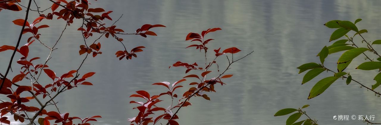 飛天水寨休閑農莊