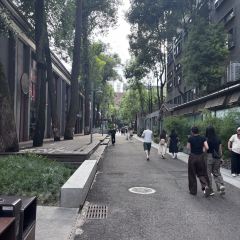 SHUYANFU User Photo