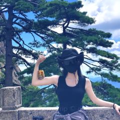 灵山酒酿 User Photo