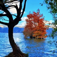 IN MY HEART User Photo