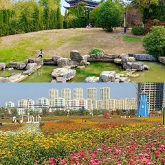 LAO SAN YANG User Photo