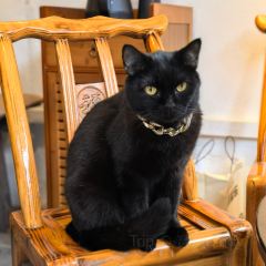 胜利饭店(沈荡店) 여행 사진